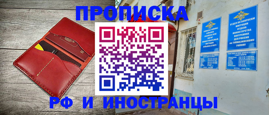 временная регистрация поиск в Курской области